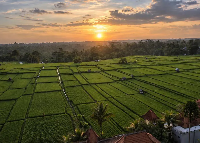 The Joglo At Umah Sunset